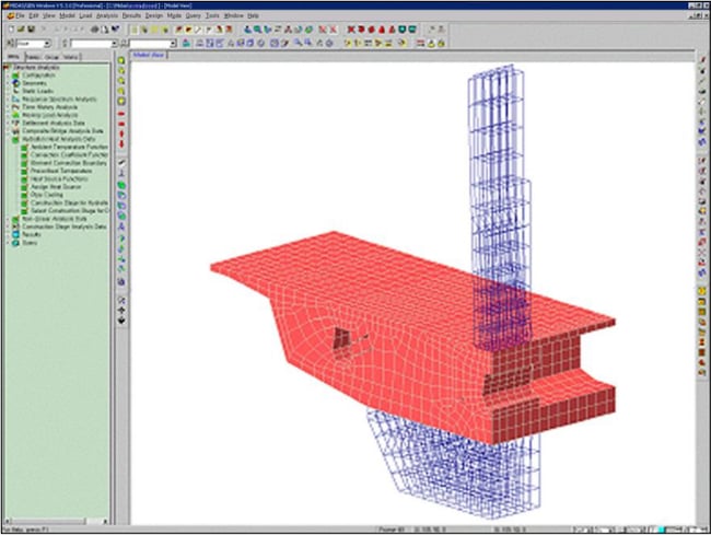 Model of a Pier Cap of an Extradosed Prestressed Concrete Box for Heat of Hydration Analysis